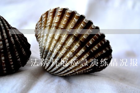 法院开展应急演练情况报告 法院开展应急演练情况报告
