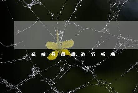 法院开展廉政分析会 法院开展廉政分析会