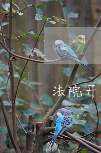 法院开展开放日活动总结 法院开展开放日活动总结