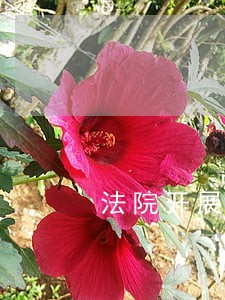 法院开展强制腾退房屋专项行动 法院开展强制腾退房屋专项行动
