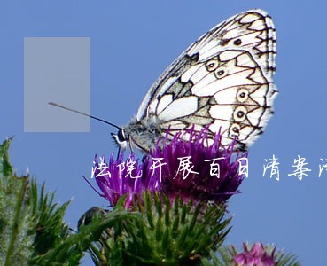 法院开展百日清案活动