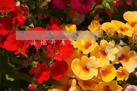 法院开展道交平台信息 法院开展道交平台信息
