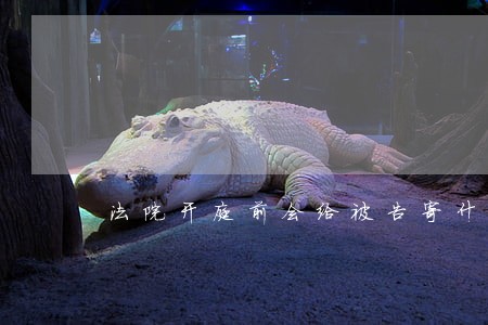 法院开庭前会给被告寄什么快递 法院开庭前会给被告寄什么快递