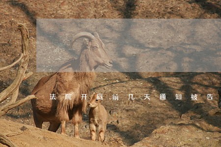 法院开庭前几天通知被告 法院开庭前几天通知被告