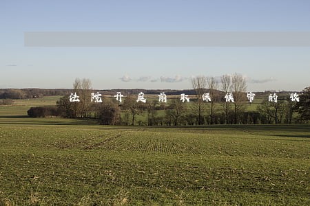 法院开庭前取保候审的收监吗 法院开庭前取保候审的收监吗