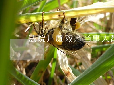法院开庭双方当事人都没去 法院开庭双方当事人都没去