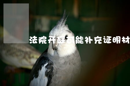 法院开庭可能补充证明材料吗