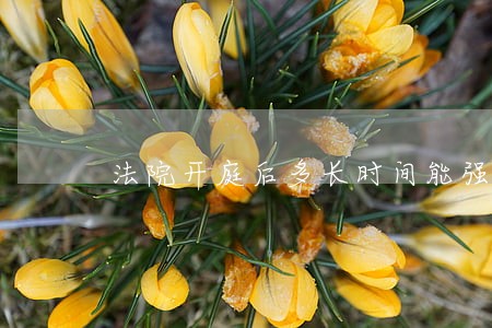 法院开庭后多长时间能强制执行 法院开庭后多长时间能强制执行