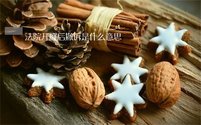 法院开庭后撤诉是什么意思 法院开庭后撤诉是什么意思