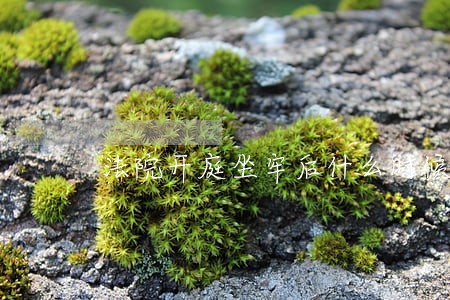 法院开庭坐牢后什么时候可能探视 法院开庭坐牢后什么时候可能探视