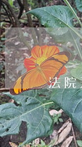 法院开庭处理欠银行贷款钱 法院开庭处理欠银行贷款钱