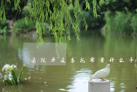 法院开庭委托需要什么手续 法院开庭委托需要什么手续