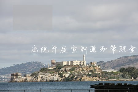 法院开庭宣判通知带现金
