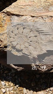 法院开庭我需要请律师吗 法院开庭我需要请律师吗