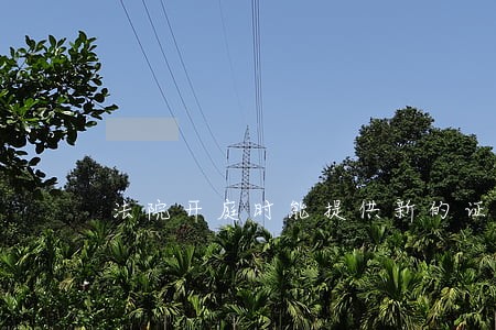 法院开庭时能提供新的证据吗 法院开庭时能提供新的证据吗