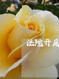 法院开庭时要求增加律师