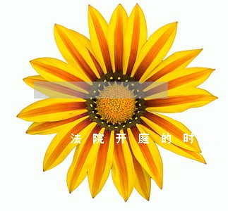 法院开庭的时候我不知道 法院开庭的时候我不知道