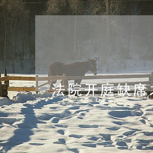法院开庭缺席之后会怎么样 法院开庭缺席之后会怎么样