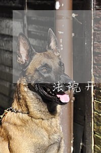 法院开庭被告人不去的后果 法院开庭被告人不去的后果