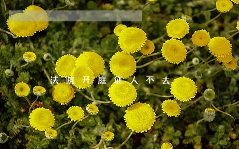 法院开庭证人不去 法院开庭证人不去