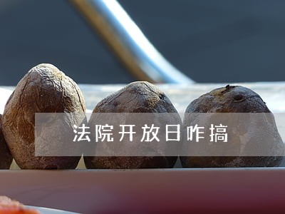 法院开放日咋搞 法院开放日咋搞