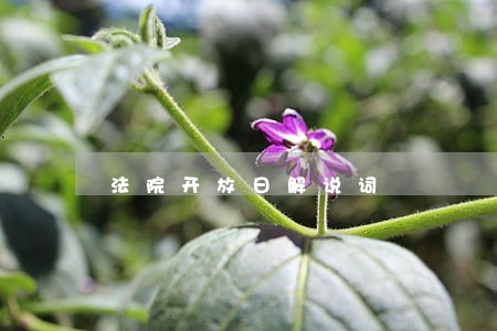 法院开放日解说词 法院开放日解说词