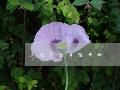 法院开放日邀请函 法院开放日邀请函