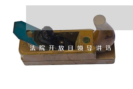 法院开放日领导讲话