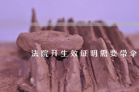 法院开生效证明需要带伞没手续 法院开生效证明需要带伞没手续