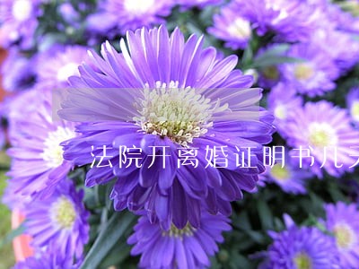法院开离婚证明书几天给 法院开离婚证明书几天给