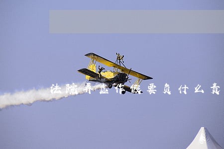 法院弄虚作假要负什么责任 法院弄虚作假要负什么责任