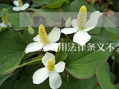 法院引用法律条文不全 法院引用法律条文不全