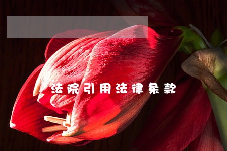 法院引用法律条款 法院引用法律条款