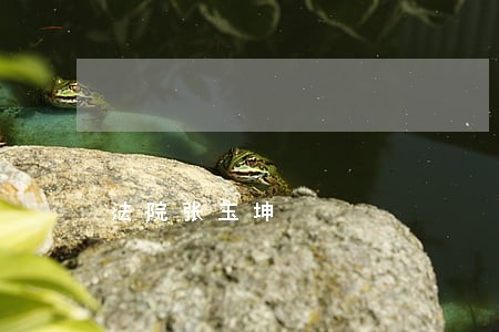 法院张玉坤