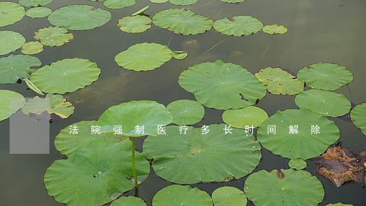 法院强制医疗多长时间解除 法院强制医疗多长时间解除