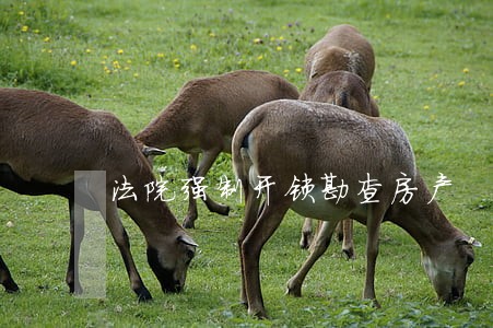 法院强制开锁勘查房产 法院强制开锁勘查房产