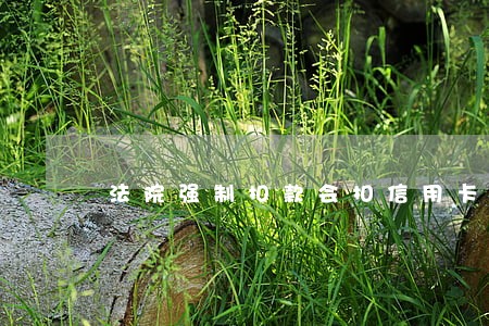 法院强制扣款会扣信用卡吗 法院强制扣款会扣信用卡吗