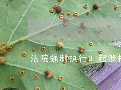 法院强制执行3起涉林案件 法院强制执行3起涉林案件