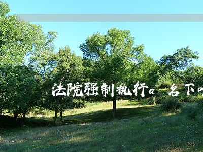 法院强制执行a名下唯一的住房 法院强制执行a名下唯一的住房