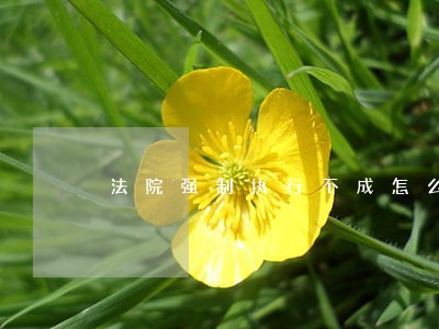 法院强制执行不成怎么办 法院强制执行不成怎么办