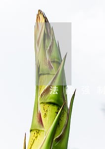 法院强制执行举证要怎样写 法院强制执行举证要怎样写