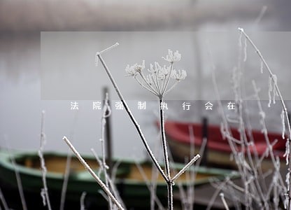 法院强制执行会在 法院强制执行会在