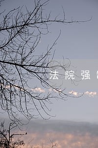 法院强制执行债权担保