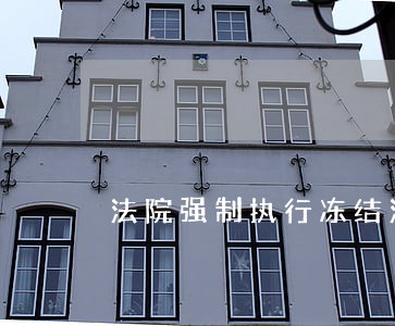 法院强制执行冻结法人私人账户 法院强制执行冻结法人私人账户