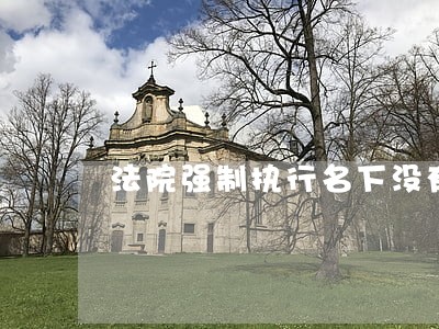 法院强制执行名下没有资产 法院强制执行名下没有资产
