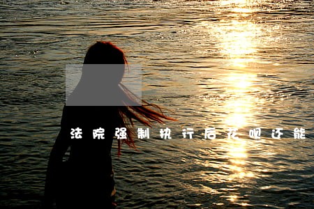 法院强制执行后花呗还能用吗