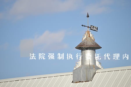 法院强制执行委托代理内容 法院强制执行委托代理内容