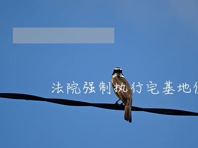 法院强制执行宅基地使用权 法院强制执行宅基地使用权