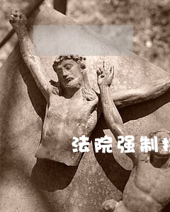 法院强制执行已经全部履行了 法院强制执行已经全部履行了