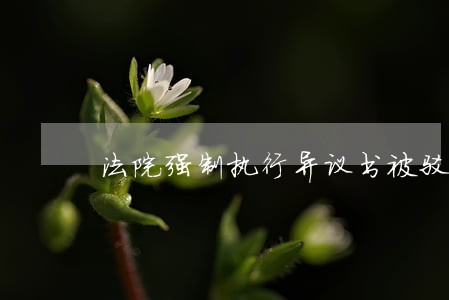 法院强制执行异议书被驳回 法院强制执行异议书被驳回